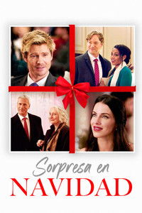 Sorpresa en Navidad